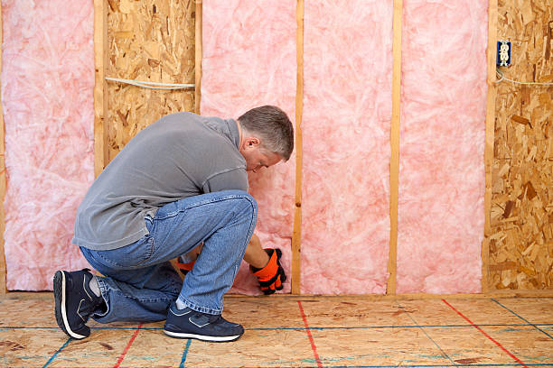 Best Eco-Friendly Insulation in Pepperdine University, CA